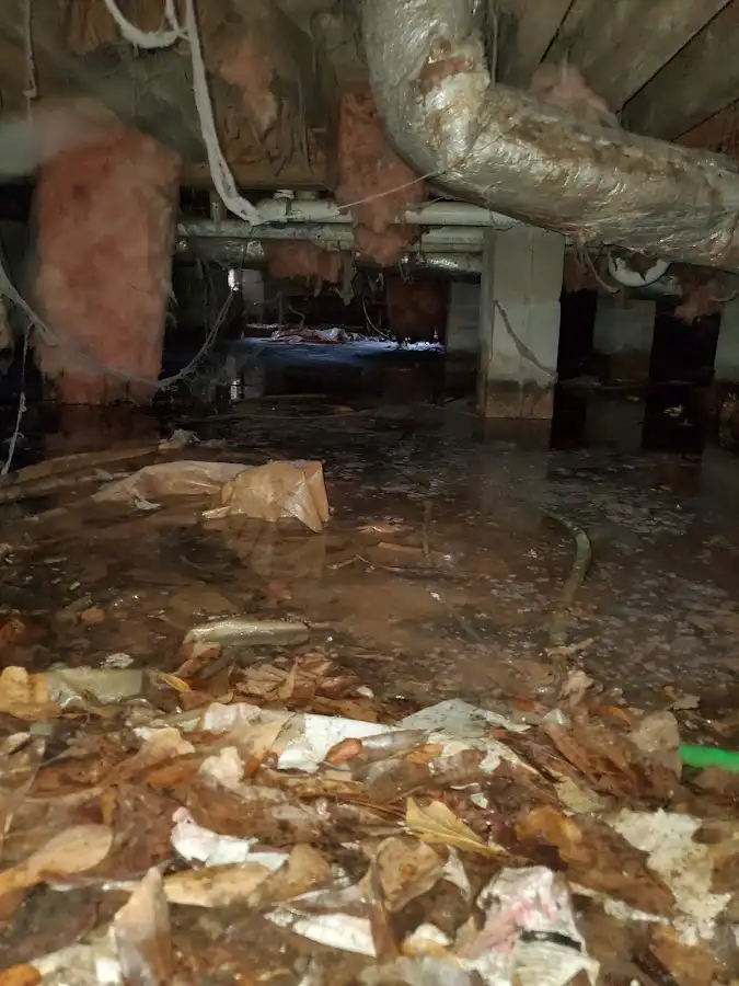 Crawl space flood assessment for Leak Detection & Repair in Big Spring